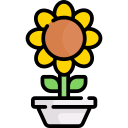 girasol icon