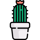 cactus icon