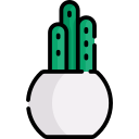 cactus icon