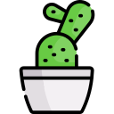 cactus icon