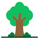 Árbol icon