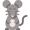 Крыса 