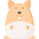 Hamster