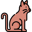 gato icon