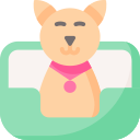 cama para mascotas