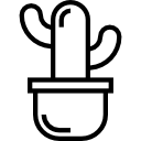 cactus icon