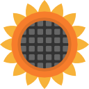 girasol icon