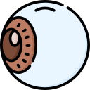 ojo icon