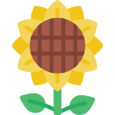 girasol icon