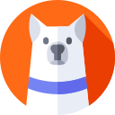 husky siberiano icon