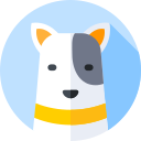 bull terrier icon