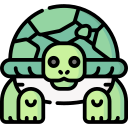 tortuga icon