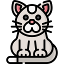 gato icon