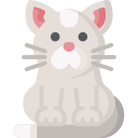 gato icon