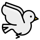 pájaro icon