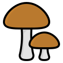 hongos icon