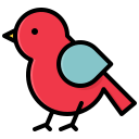 pájaro icon