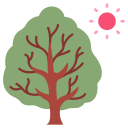 Árbol