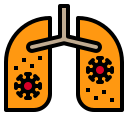 Lungs 