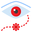 ojo icon