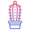 cactus icon