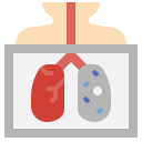 enfermedad infecciosa 