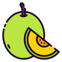 melón