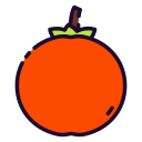 tomate icon