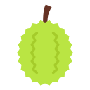 durian icon