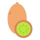 kiwi icon