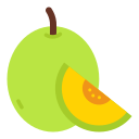 melón icon