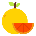 naranja icon