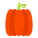 calabaza icon