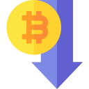 bitcoin icon