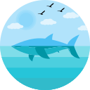 Ballena icon