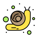 caracol icon