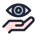 Vision icon