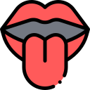 lengua icon