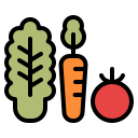 vegetales icon