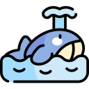 ballena icon