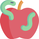 manzana