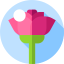 rosa icon