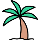 palmera