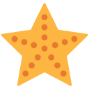 estrella de mar