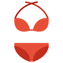 bikini icon