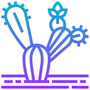 cactus icon