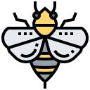 abeja