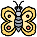 mariposa