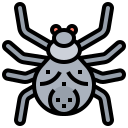 araña