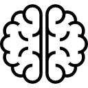 Brain 
